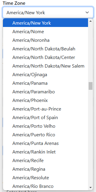 A screenshot of the Time Zone dropdown menu with "America/New York" selected